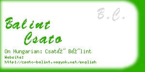 balint csato business card